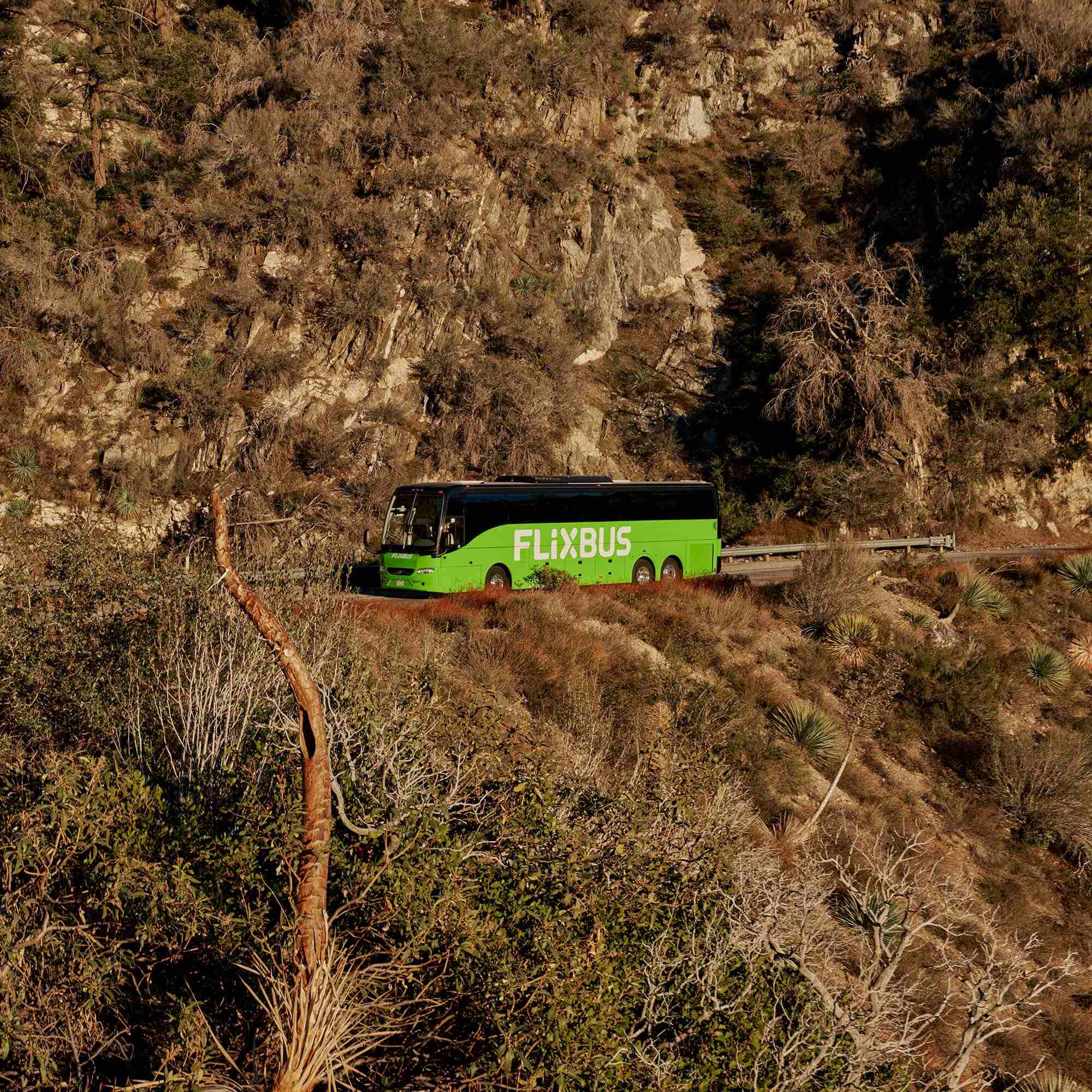 Three men in business casual clothes sitting in front of a Flixbus logo